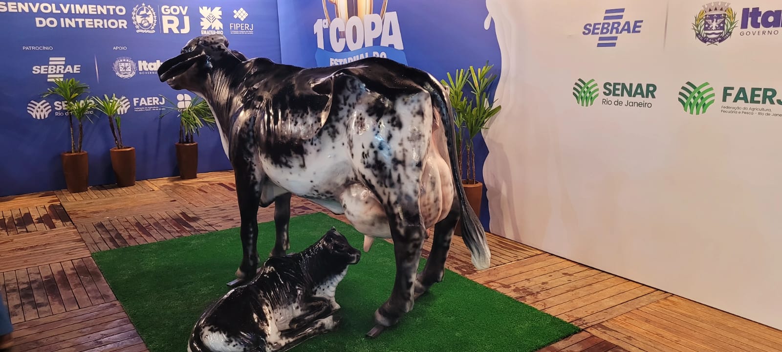 COPA DO LEITE. CONFIRA AQUI O MAIOR ARQUIVO FOTOGRÁFICO DESTE GRANDE EVENTO.