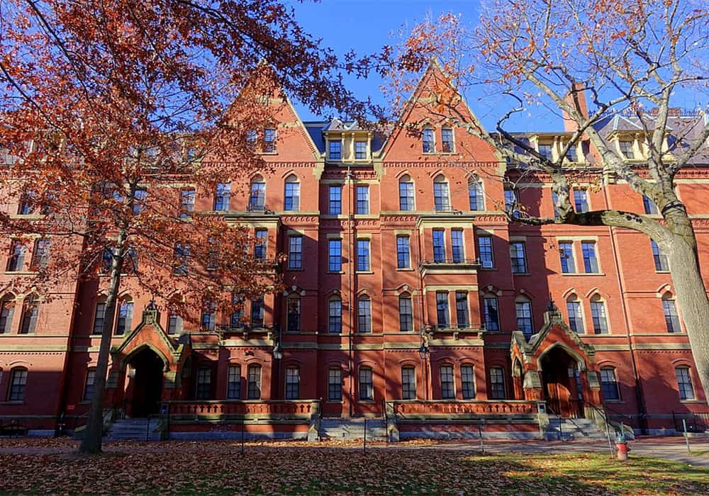 14 HÁBITOS QUE ACABAM COM SUA SAÚDE SEGUNDO ESTUDO DE HARVARD.