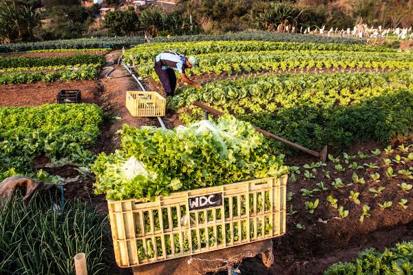 ITALVA: SEC. DE EDUCAÇÃO PROMOVE IMPORTANTE REUNIÃO PARA PRODUTORES LOCAIS.